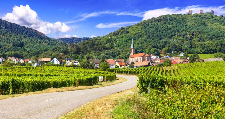Route de campagne entre les vignes en Alsace
