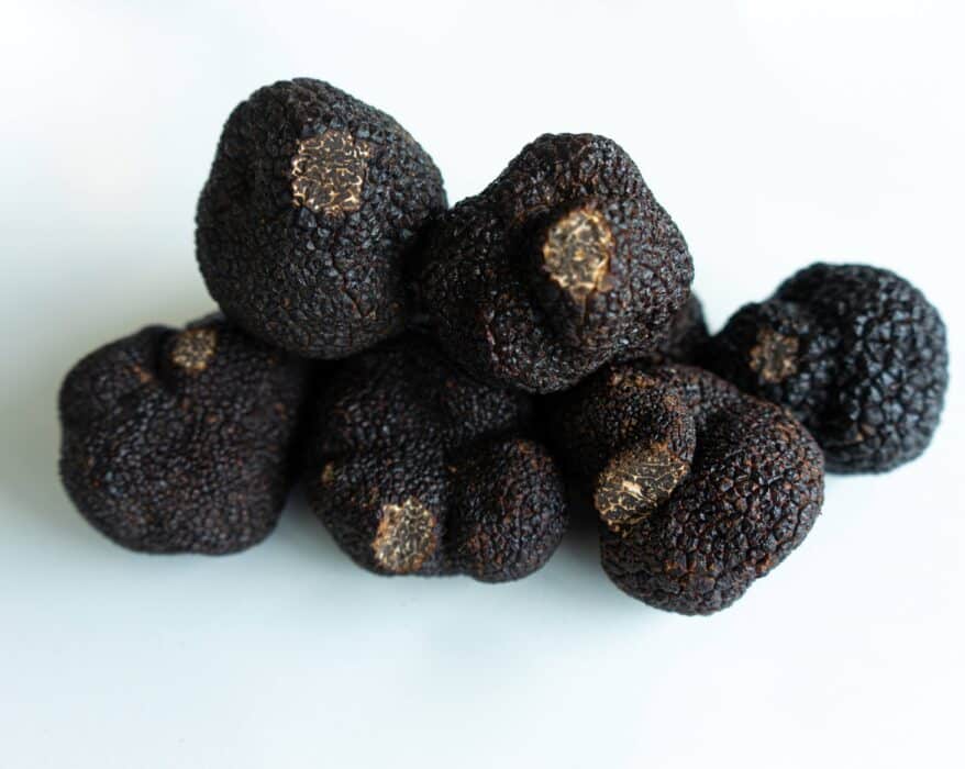 specialite de sarlat truffe noire